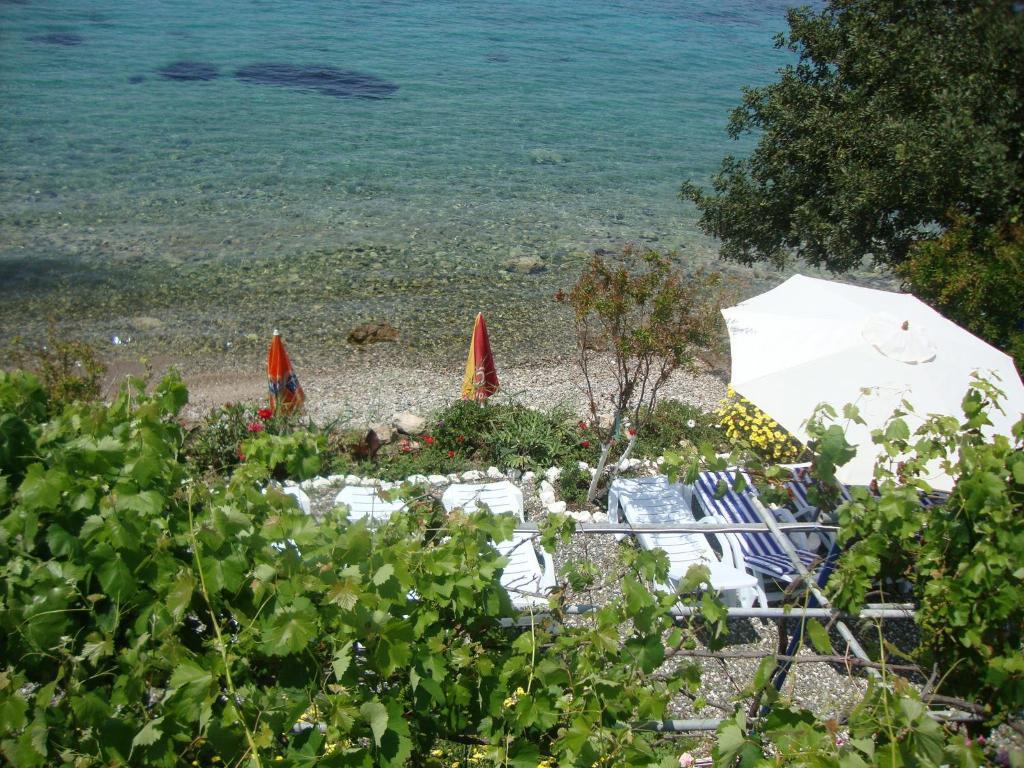 Отель Mavi Akvaryum Pension Sogut  Экстерьер фото