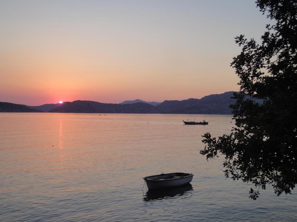 Отель Mavi Akvaryum Pension Sogut  Экстерьер фото